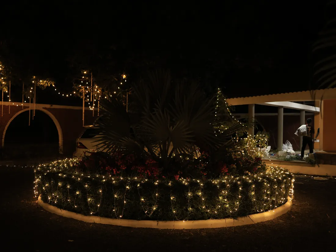 The garden and brick arch at Nehamrit Farms lit with fairy lights for a wedding